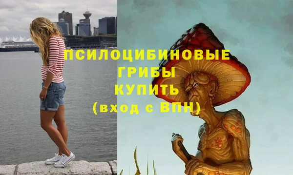 мяу мяу мука Надым